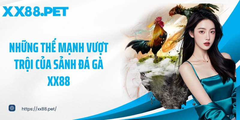 Những thế mạnh vượt trội của sảnh đá gà XX88