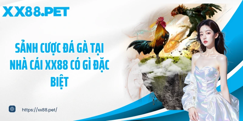 Sảnh cược đá gà tại nhà cái XX88 có gì đặc biệt