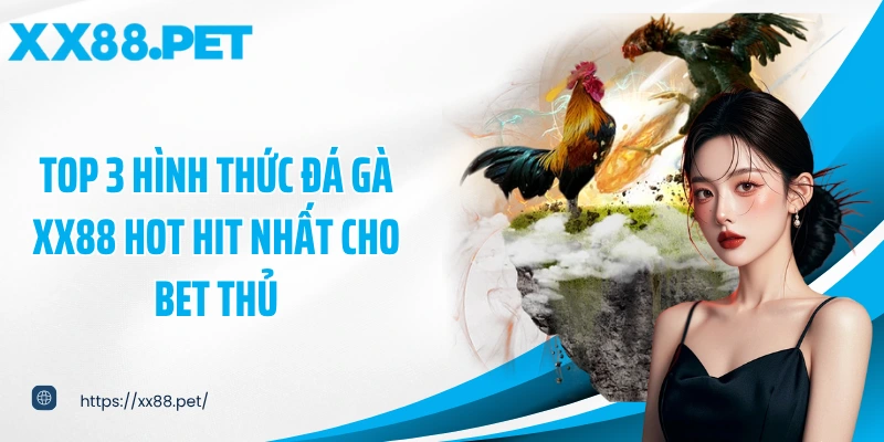 Top 3 hình thức đá gà XX88 hot hit nhất cho bet thủ